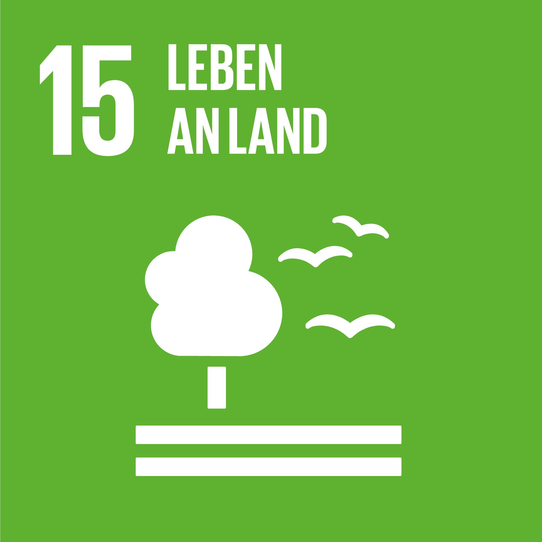 SDG 5